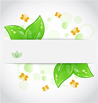 绿叶,蝴蝶,隔绝,白色背景