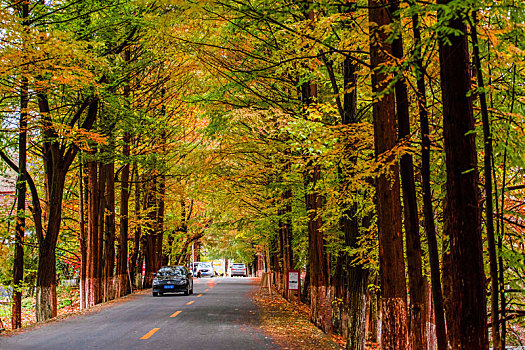 最美乡村公路