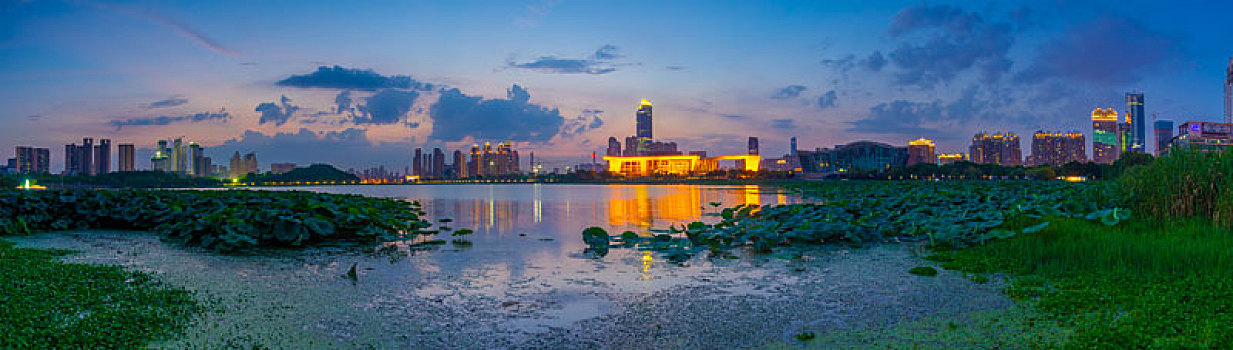 武汉,夏日,城市天际线,日落,夜景,风光