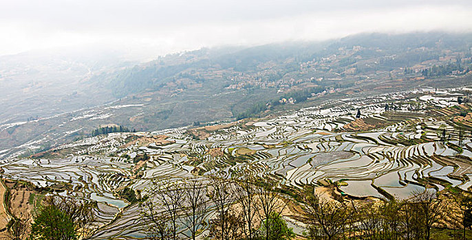 元阳哈尼梯田