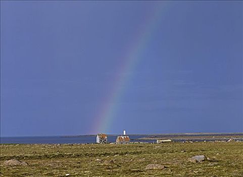 彩虹,上方,荒芜,农场,北方,冰岛