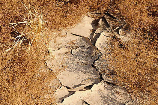 干燥,河床,缝隙,土地,达马拉兰,纳米比亚,非洲