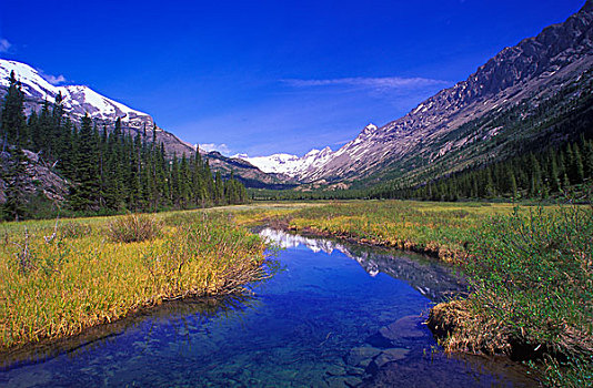 落基山脉,省立公园,不列颠哥伦比亚省,加拿大