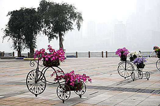 重庆南岸区南滨路公园抽象自行车鲜花花车