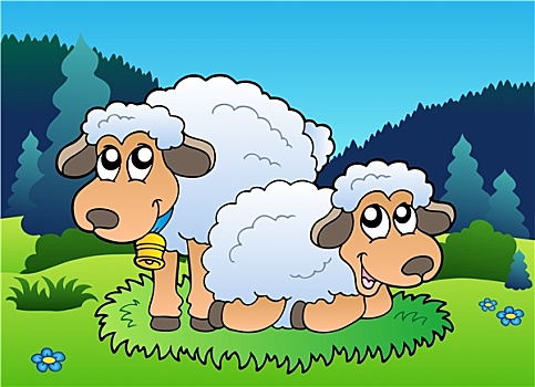 两只,羊,牧场