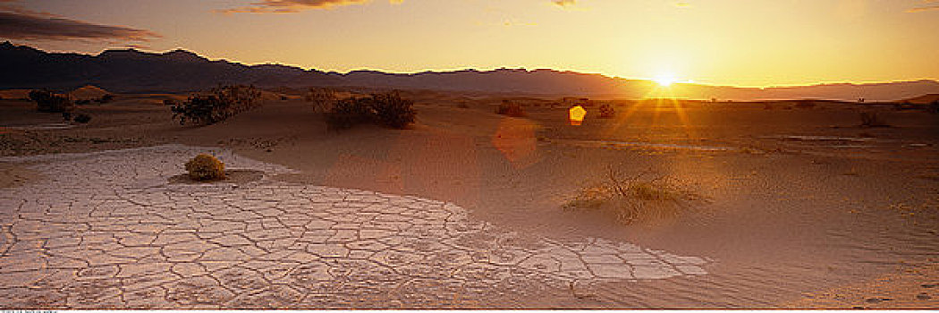 沙漠,日落