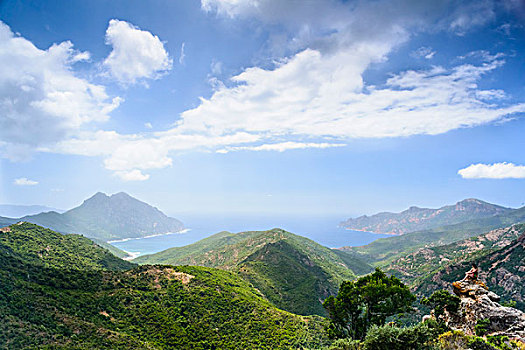 风景,山,海湾,背景,右边,自然保护区,世界遗产,波尔图,科西嘉岛,法国