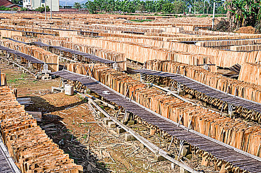 木材加工厂里晾晒的加工的板材板皮