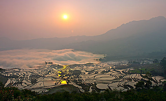 云南省红河州元阳哈尼梯田