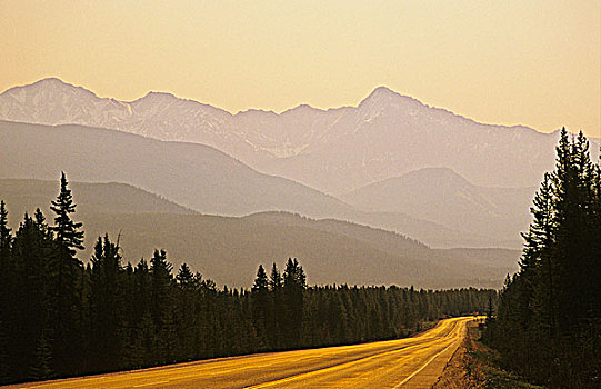 公路,班芙国家公园,艾伯塔省,加拿大