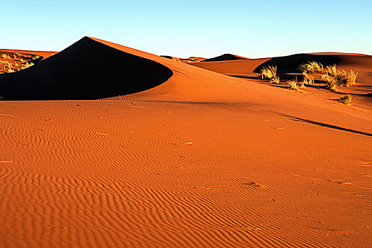 南方,山麓,纳米布沙漠,沙丘,草,夜光,纳米比亚,非洲