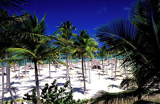 多米尼加共和国,蓬塔卡纳,海滩