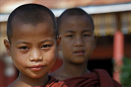 孩子,僧侣,茵莱湖,缅甸,东南亚