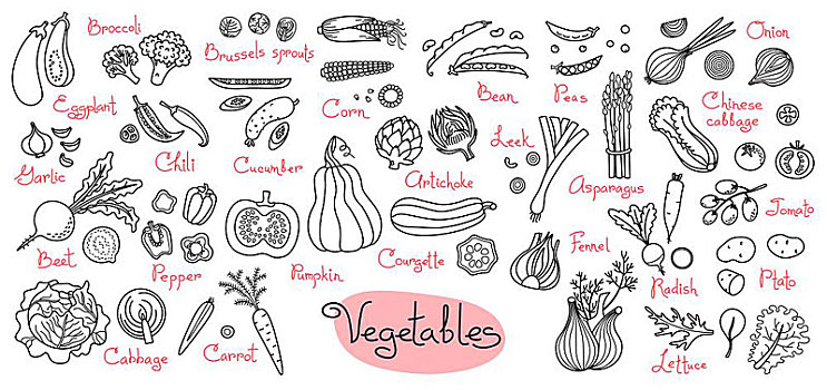 绘画,蔬菜,设计,菜单,烹饪,包装,产品,矢量,插画