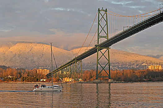 帆船,接近,狮子,温哥华,不列颠哥伦比亚省,加拿大