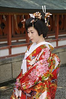 新娘,穿,传统,和服,日本神道,婚礼,神祠,京都,日本,亚洲