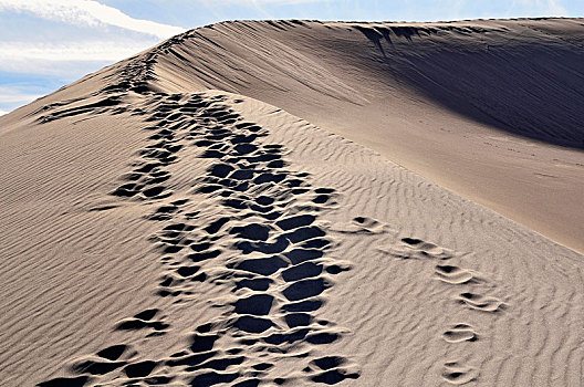 沙丘,脚印,国家公园,科罗拉多,美国,北美