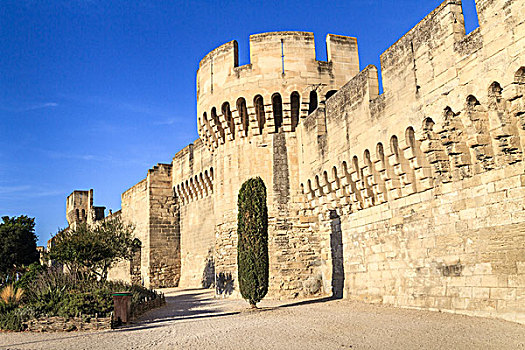 阿维尼翁,中世纪城市,墙壁