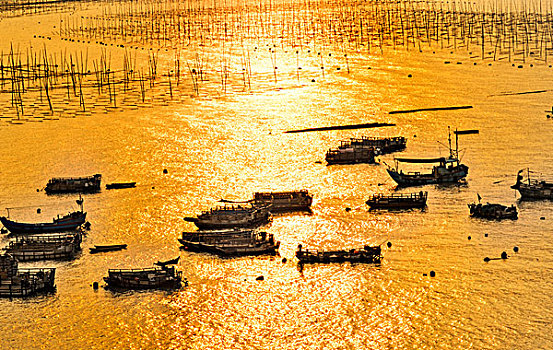 福建霞浦,金色海滩,渔船