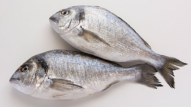 铜盆鱼,鱼肉,地中海风味