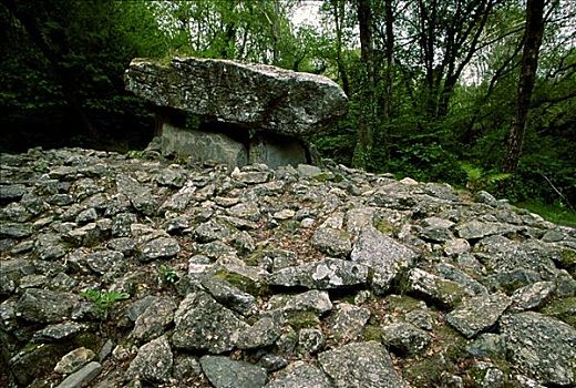 石头,树林,门口,巨石墓,爱尔兰,国家,文化遗产,公园,韦克斯福德郡