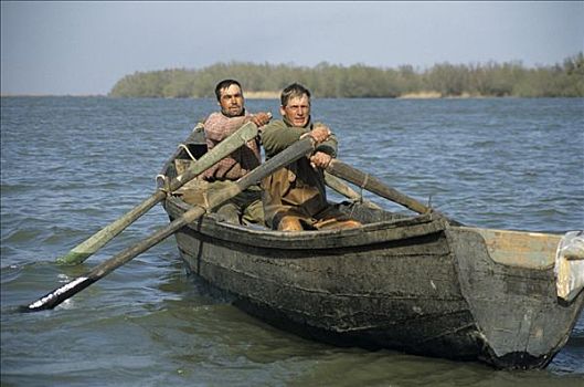 捕鱼者,多瑙河,手臂,靠近,多瑙河三角洲,罗马尼亚,欧洲