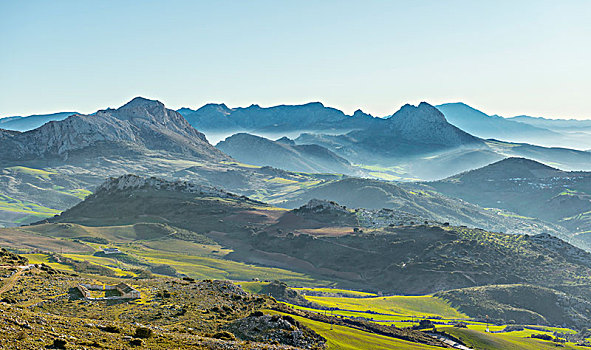 山,青山,风景,省,阿尔瓦塞特,安达卢西亚,西班牙,欧洲