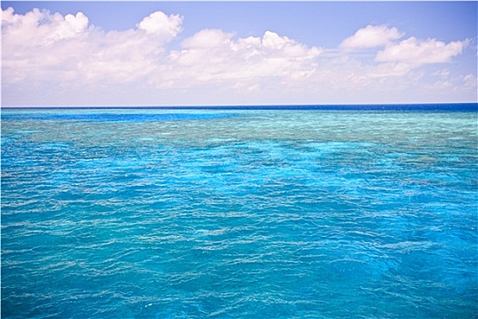 蓝色,海洋,浅,外滨,礁石