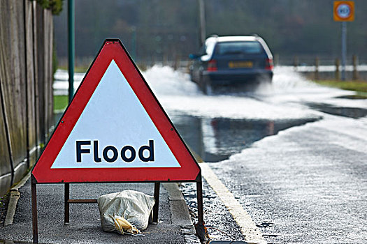 驾驶员,驾驶,洪水,水,警告标识,前景