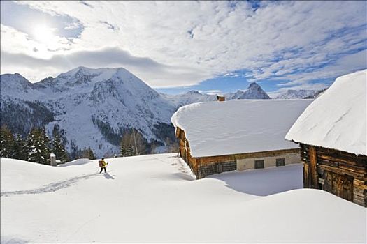 女人,滑雪,雪,山地牧场,木屋,萨尔茨堡,奥地利