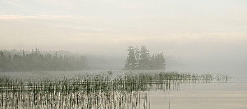 湖,木,安大略省,加拿大