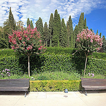 花园,长椅,阿尔罕布拉,格林纳达,格拉纳达,安达卢西亚,西班牙
