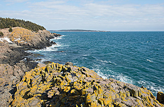 玄武岩,海岸,芬地湾,新斯科舍省,加拿大