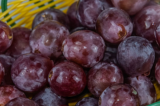 被子植物门新鲜水果紫红色葡萄