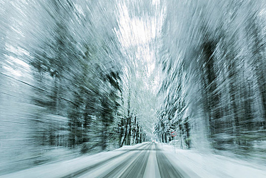 道路,雪,树林,地区,巴伐利亚