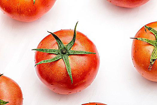 番茄西红柿蔬菜写照