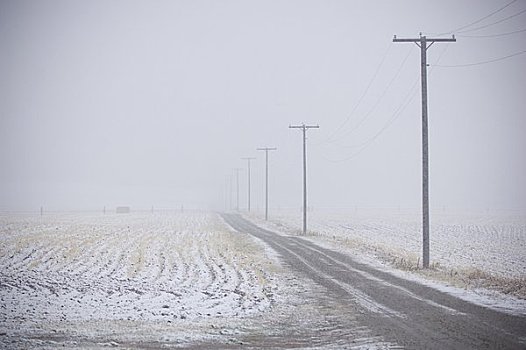 道路,通过,积雪,风景,加拉廷,蒙大拿,美国