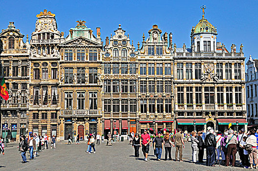 行会,房子,大广场,布鲁塞尔,比利时,欧洲