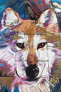 狗,狼,街头涂鸦,街头艺术,德国,欧洲