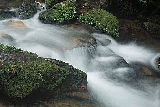 山谷,河流,石头