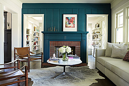 座椅,茶几,蓝色,客厅,动物皮,地毯