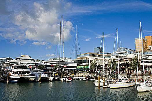 船,港口,高架桥,奥克兰,北岛,新西兰