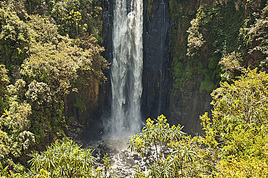 瀑布,肯尼亚,非洲