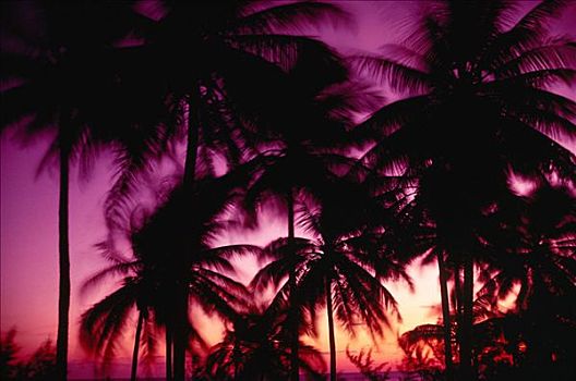 日出,伊柳塞拉岛,巴哈马