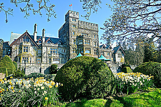 城堡,公园,维多利亚,不列颠哥伦比亚省,加拿大