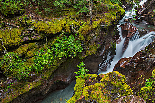溪流,峡谷,冰川国家公园,蒙大拿,美国