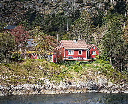 特色,挪威,夏天,小屋,靠近,海平面,风景,渡轮,接近,卑尔根,港口