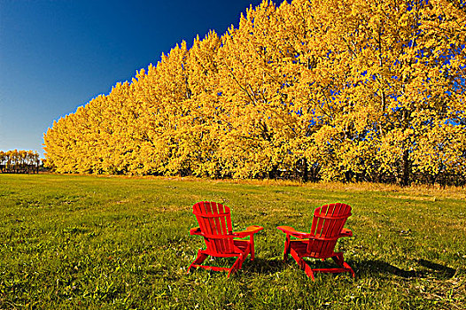 两个,椅子,边缘,干草,土地,背景,靠近,曼尼托巴,加拿大