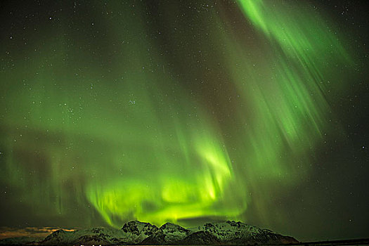 风景,北极光,罗弗敦群岛,挪威,欧洲