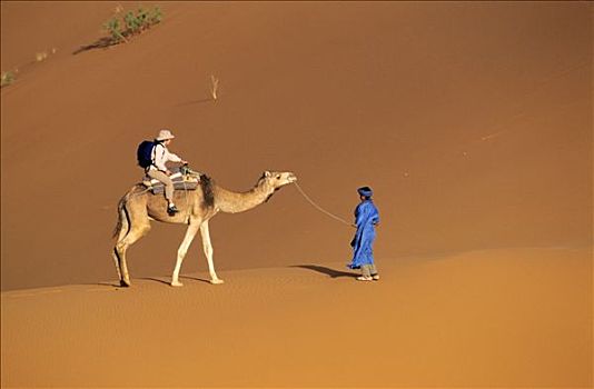 摩洛哥,塔菲拉勒特,区域,却比沙丘,沙漠